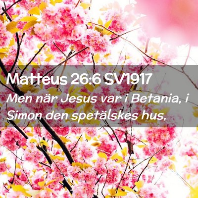 Picture 02 - Matteus 26:6 SV1917 - Men när Jesus var i Betania, i Simon den - Bible Verse Picture