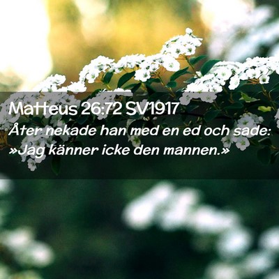 Picture 02 - Matteus 26:72 SV1917 - Åter nekade han med en ed och sade: »Jag - Bible Verse Picture