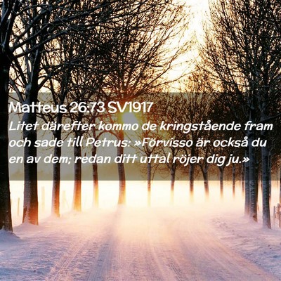 Picture 02 - Matteus 26:73 SV1917 - Litet därefter kommo de kringstående fram och - Bible Verse Picture