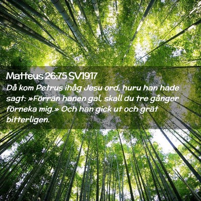 Picture 02 - Matteus 26:75 SV1917 - Då kom Petrus ihåg Jesu ord, huru han hade - Bible Verse Picture