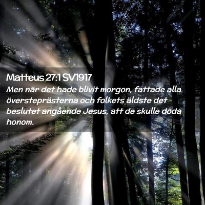 Picture 02 - Matteus 27:1 SV1917 - Men när det hade blivit morgon, fattade alla - Bible Verse Picture