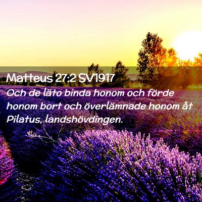 Picture 02 - Matteus 27:2 SV1917 - Och de läto binda honom och förde honom bort - Bible Verse Picture