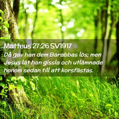 Picture 02 - Matteus 27:26 SV1917 - Då gav han dem Barabbas lös; men Jesus lät han - Bible Verse Picture