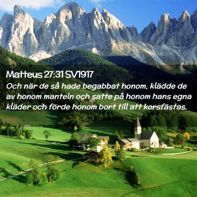 Picture 02 - Matteus 27:31 SV1917 - Och när de så hade begabbat honom, klädde de - Bible Verse Picture