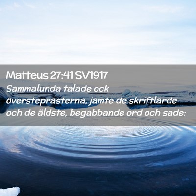 Picture 02 - Matteus 27:41 SV1917 - Sammalunda talade ock översteprästerna, jämte - Bible Verse Picture