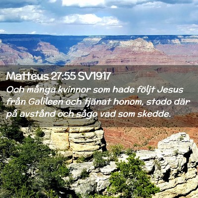 Picture 02 - Matteus 27:55 SV1917 - Och många kvinnor som hade följt Jesus från - Bible Verse Picture