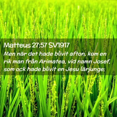 Picture 02 - Matteus 27:57 SV1917 - Men när det hade blivit afton, kom en rik man - Bible Verse Picture