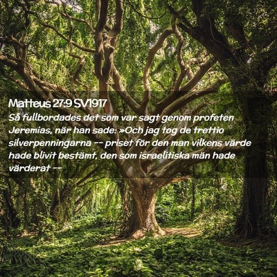 Picture 02 - Matteus 27:9 SV1917 - Så fullbordades det som var sagt genom profeten - Bible Verse Picture
