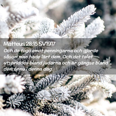Picture 02 - Matteus 28:15 SV1917 - Och de togo emot penningarna och gjorde såsom - Bible Verse Picture