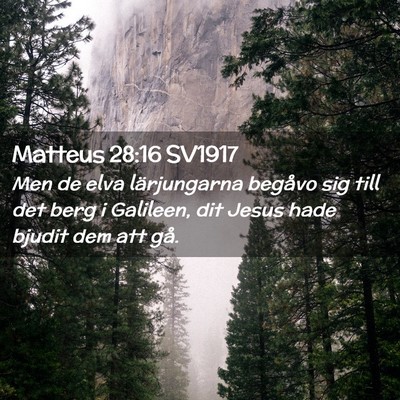 Picture 02 - Matteus 28:16 SV1917 - Men de elva lärjungarna begåvo sig till det - Bible Verse Picture