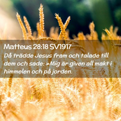 Picture 02 - Matteus 28:18 SV1917 - Då trädde Jesus fram och talade till dem och - Bible Verse Picture