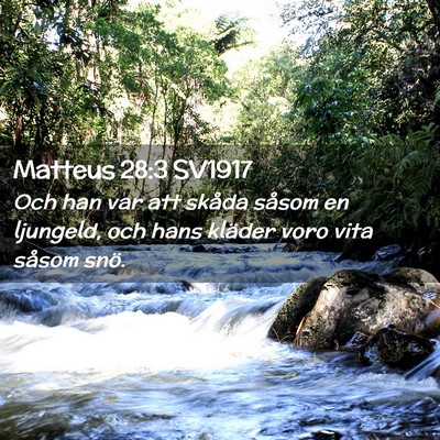 Picture 02 - Matteus 28:3 SV1917 - Och han var att skåda såsom en ljungeld, och - Bible Verse Picture