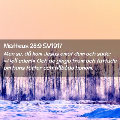 Picture 02 - Matteus 28:9 SV1917 - Men se, då kom Jesus emot dem och sade: »Hell - Bible Verse Picture