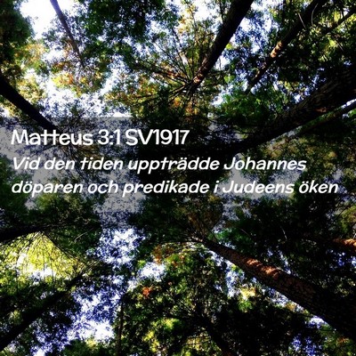 Picture 02 - Matteus 3:1 SV1917 - Vid den tiden uppträdde Johannes döparen och - Bible Verse Picture