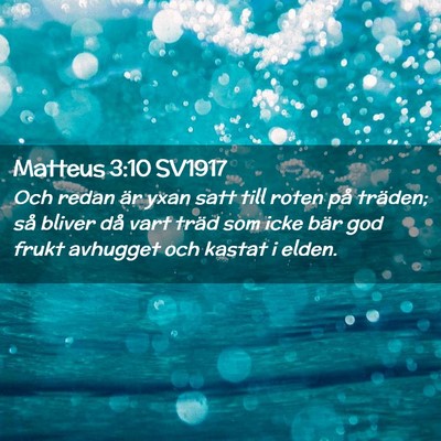 Picture 02 - Matteus 3:10 SV1917 - Och redan är yxan satt till roten på träden; - Bible Verse Picture