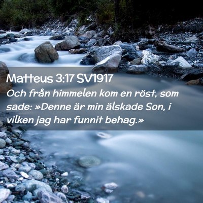 Picture 02 - Matteus 3:17 SV1917 - Och från himmelen kom en röst, som sade: - Bible Verse Picture