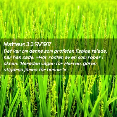 Picture 02 - Matteus 3:3 SV1917 - Det var om denne som profeten Esaias talade, när - Bible Verse Picture