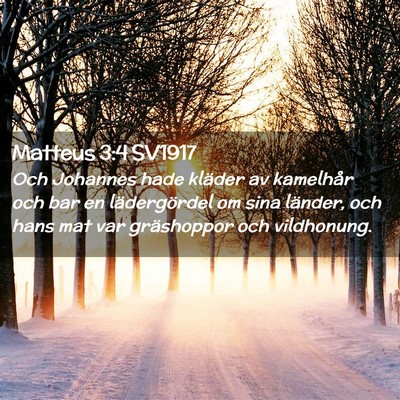 Picture 02 - Matteus 3:4 SV1917 - Och Johannes hade kläder av kamelhår och bar en - Bible Verse Picture