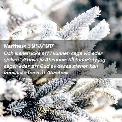 Picture 02 - Matteus 3:9 SV1917 - Och menen icke att I kunnen säga vid eder - Bible Verse Picture