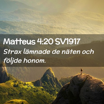 Picture 02 - Matteus 4:20 SV1917 - Strax lämnade de näten och följde - Bible Verse Picture