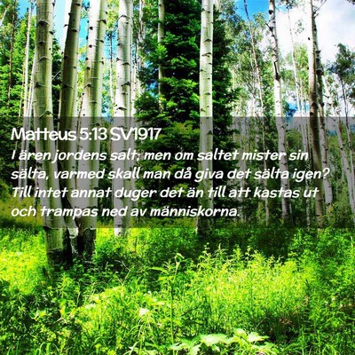 Picture 02 - Matteus 5:13 SV1917 - I ären jordens salt; men om saltet mister sin - Bible Verse Picture