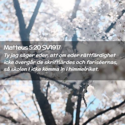 Picture 02 - Matteus 5:20 SV1917 - Ty jag säger eder, att om eder rättfärdighet - Bible Verse Picture