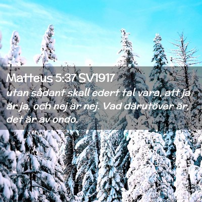 Picture 02 - Matteus 5:37 SV1917 - utan sådant skall edert tal vara, att ja är ja, - Bible Verse Picture