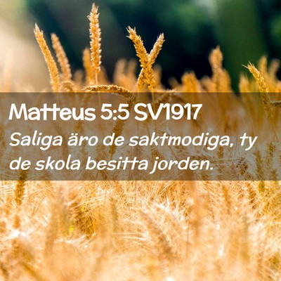 Picture 02 - Matteus 5:5 SV1917 - Saliga äro de saktmodiga, ty de skola besitta - Bible Verse Picture