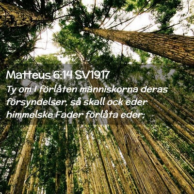 Picture 02 - Matteus 6:14 SV1917 - Ty om I förlåten människorna deras - Bible Verse Picture