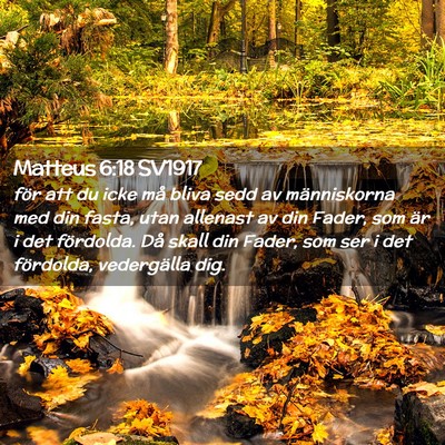 Picture 02 - Matteus 6:18 SV1917 - för att du icke må bliva sedd av människorna - Bible Verse Picture