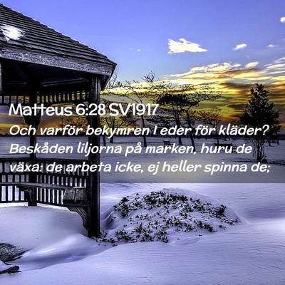 Picture 02 - Matteus 6:28 SV1917 - Och varför bekymren I eder för kläder? - Bible Verse Picture