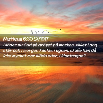 Picture 02 - Matteus 6:30 SV1917 - Kläder nu Gud så gräset på marken, vilket i - Bible Verse Picture