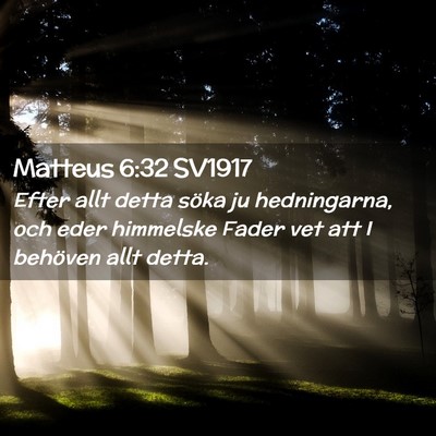 Picture 02 - Matteus 6:32 SV1917 - Efter allt detta söka ju hedningarna, och eder - Bible Verse Picture