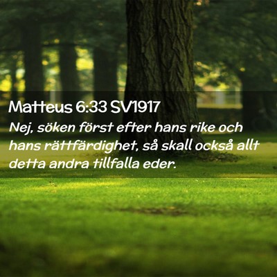 Picture 02 - Matteus 6:33 SV1917 - Nej, söken först efter hans rike och hans - Bible Verse Picture