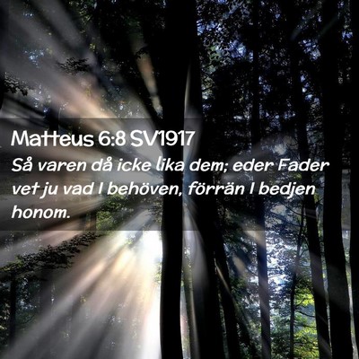 Picture 02 - Matteus 6:8 SV1917 - Så varen då icke lika dem; eder Fader vet ju - Bible Verse Picture