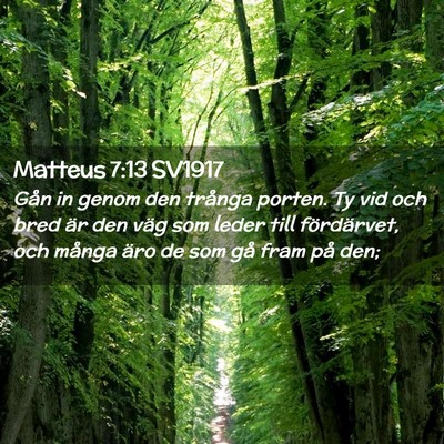Picture 02 - Matteus 7:13 SV1917 - Gån in genom den trånga porten. Ty vid och bred - Bible Verse Picture
