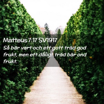 Picture 02 - Matteus 7:17 SV1917 - Så bär vart och ett gott träd god frukt, men - Bible Verse Picture