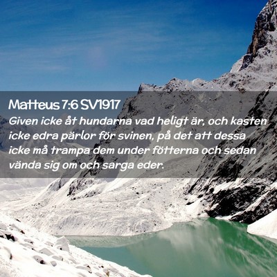 Picture 02 - Matteus 7:6 SV1917 - Given icke åt hundarna vad heligt är, och - Bible Verse Picture