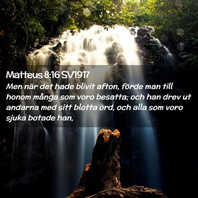 Picture 02 - Matteus 8:16 SV1917 - Men när det hade blivit afton, förde man till - Bible Verse Picture