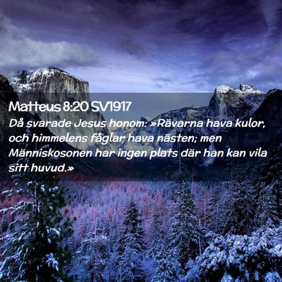 Picture 02 - Matteus 8:20 SV1917 - Då svarade Jesus honom: »Rävarna hava kulor, - Bible Verse Picture