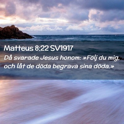 Picture 02 - Matteus 8:22 SV1917 - Då svarade Jesus honom: »Följ du mig, och låt - Bible Verse Picture