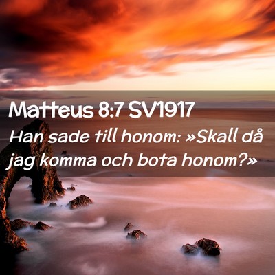 Picture 02 - Matteus 8:7 SV1917 - Han sade till honom: »Skall då jag komma och - Bible Verse Picture