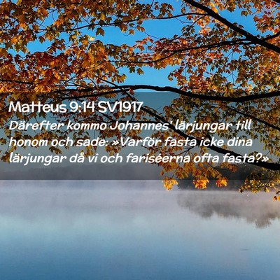 Picture 02 - Matteus 9:14 SV1917 - Därefter kommo Johannes' lärjungar till honom - Bible Verse Picture