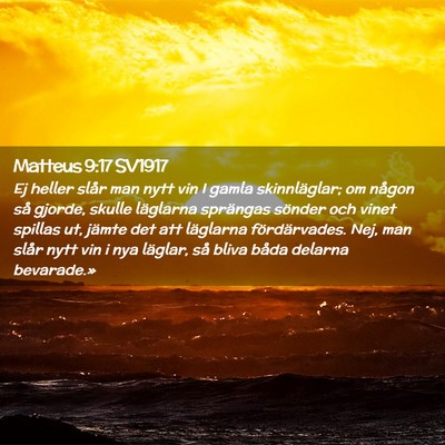 Picture 02 - Matteus 9:17 SV1917 - Ej heller slår man nytt vin I gamla - Bible Verse Picture