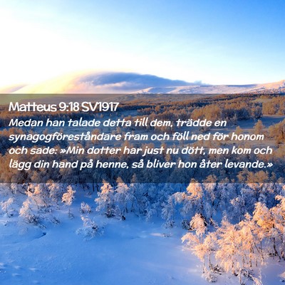 Picture 02 - Matteus 9:18 SV1917 - Medan han talade detta till dem, trädde en - Bible Verse Picture