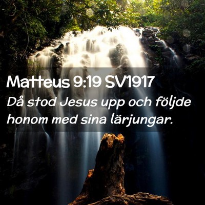 Picture 02 - Matteus 9:19 SV1917 - Då stod Jesus upp och följde honom med sina - Bible Verse Picture