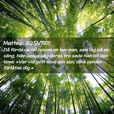 Picture 02 - Matteus 9:2 SV1917 - Då förde de till honom en lam man, som låg på - Bible Verse Picture