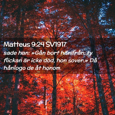 Picture 02 - Matteus 9:24 SV1917 - sade han: »Gån bort härifrån; ty flickan är - Bible Verse Picture