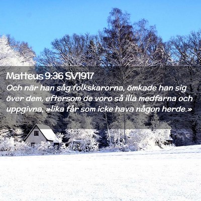 Picture 02 - Matteus 9:36 SV1917 - Och när han såg folkskarorna, ömkade han sig - Bible Verse Picture