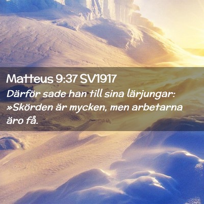 Picture 02 - Matteus 9:37 SV1917 - Därför sade han till sina lärjungar: - Bible Verse Picture